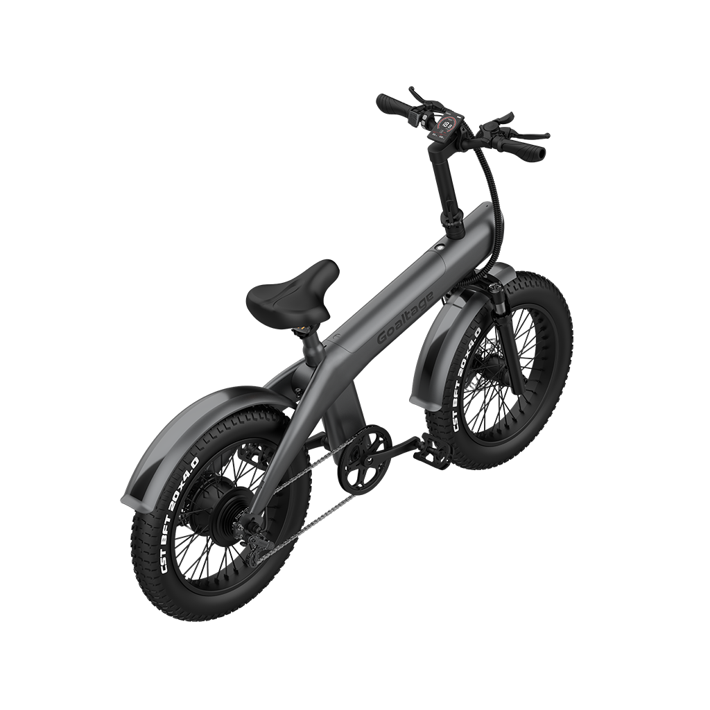 دوچرخه برقی گلتیج مدل EcoMotion
